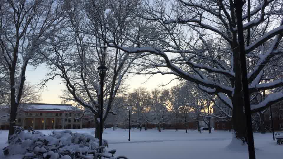 Snow-covered trees and an Oberlin College campus building at dusk